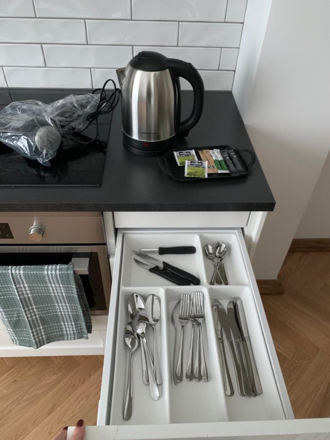 Kaunas Embassy Apartments المظهر الخارجي الصورة